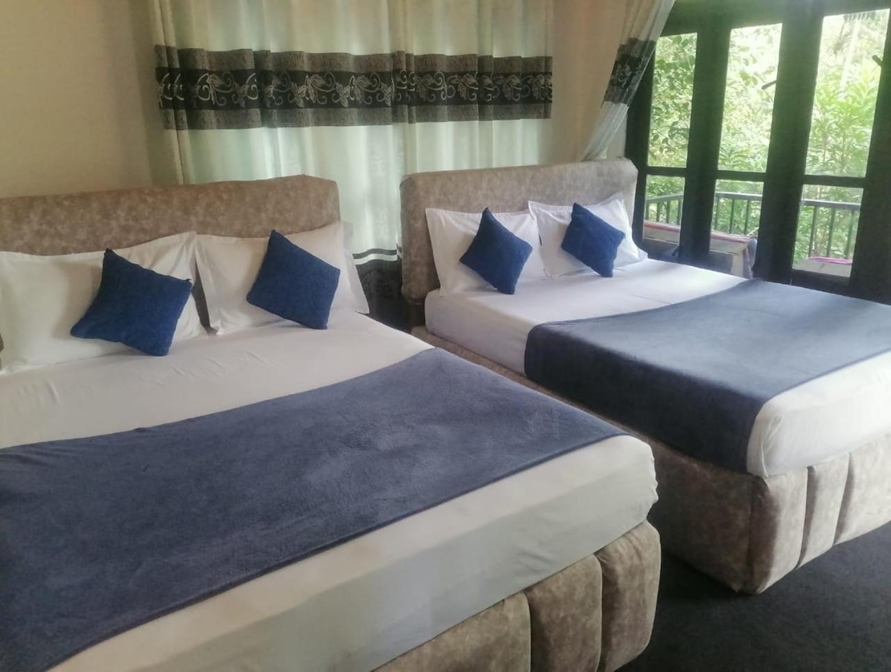 Summer Villa Ella Rom bilde